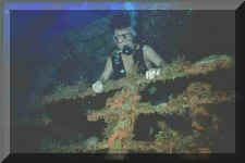 Img0023*jpg (82362 bytes)