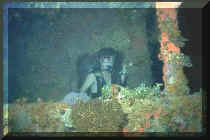 Img0022.jpg (125863 bytes)